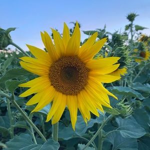 Meet your Posher, Michaela